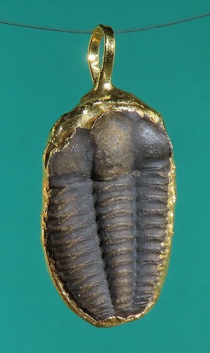 Trilobit, přívěsky
