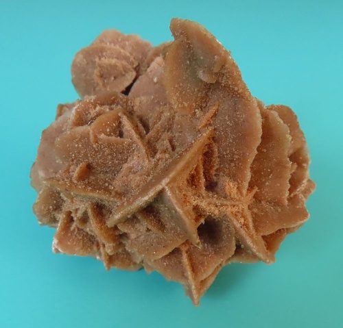 Pou&scaron;tn&iacute; růže