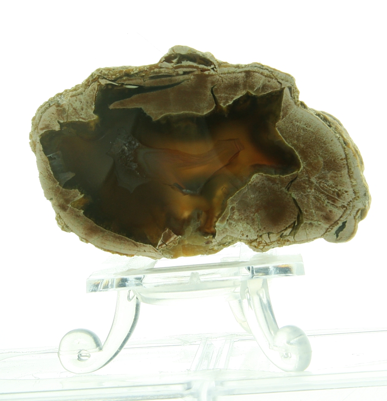 Agate (Thunder egg)