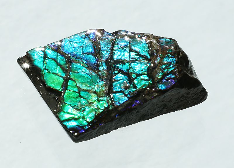 Ammolite