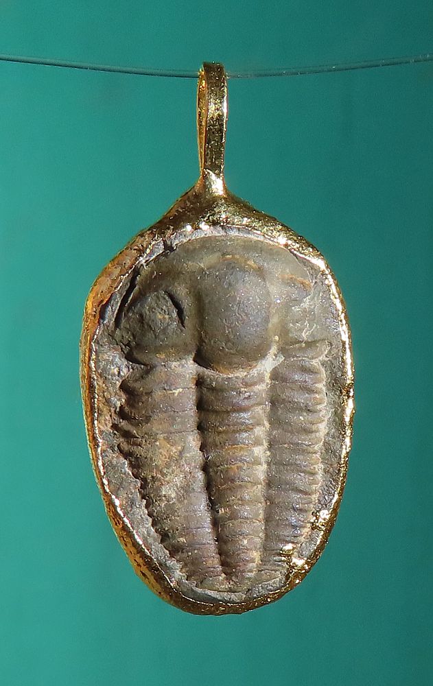Trilobit, přívěsek galvanika zlacená