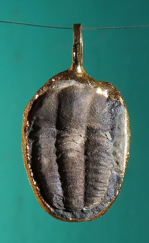 Trilobit, přívěsek galvanika zlacená
