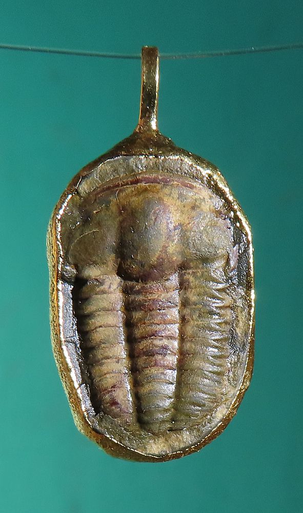 Trilobit, přívěsek galvanika zlacená