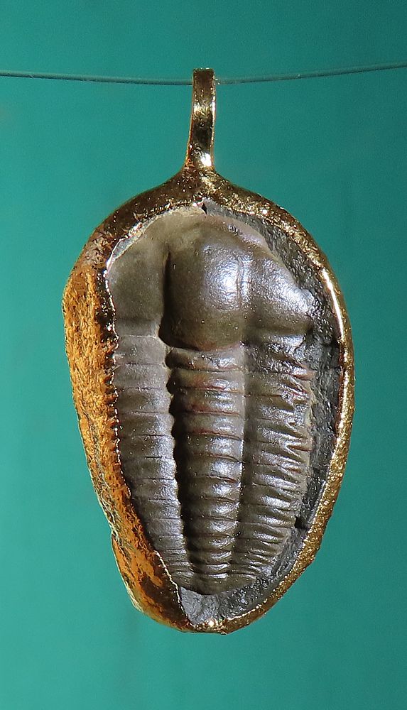 Trilobite Pendant  Gold Electroplated