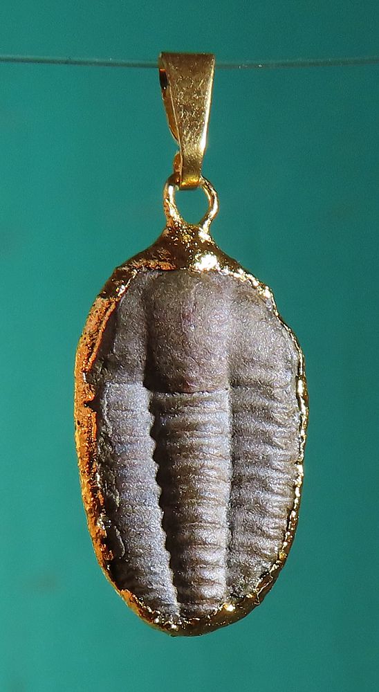 Anhänger Trilobit galvanisch vergoldet