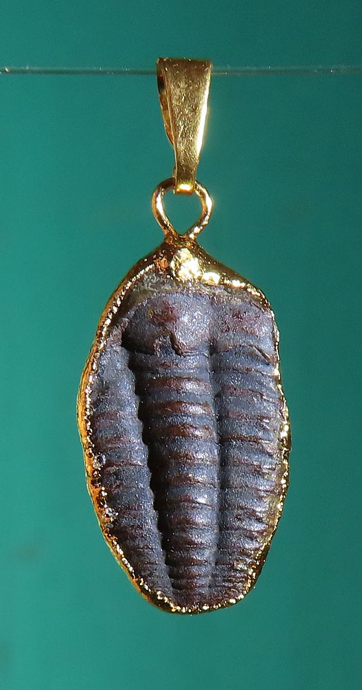 Anhänger Trilobit galvanisch vergoldet