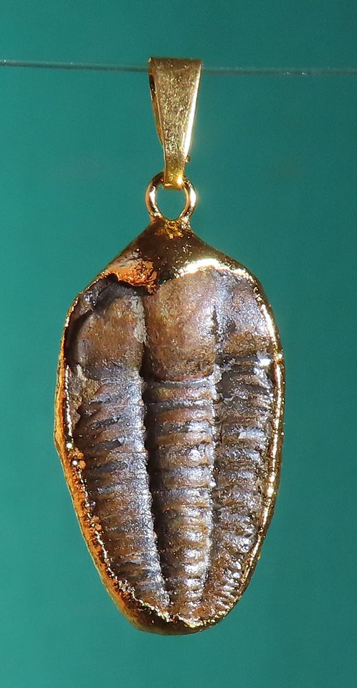 Anhänger Trilobit galvanisch vergoldet