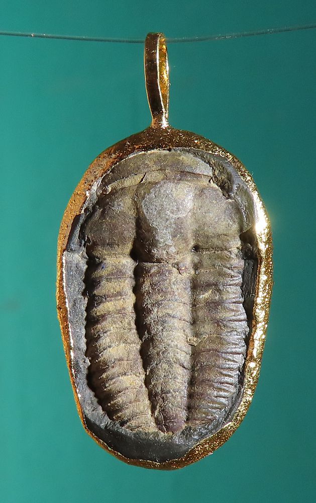 Trilobite Pendant  Gold Electroplated