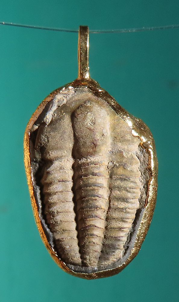 Anhänger Trilobit galvanisch vergoldet