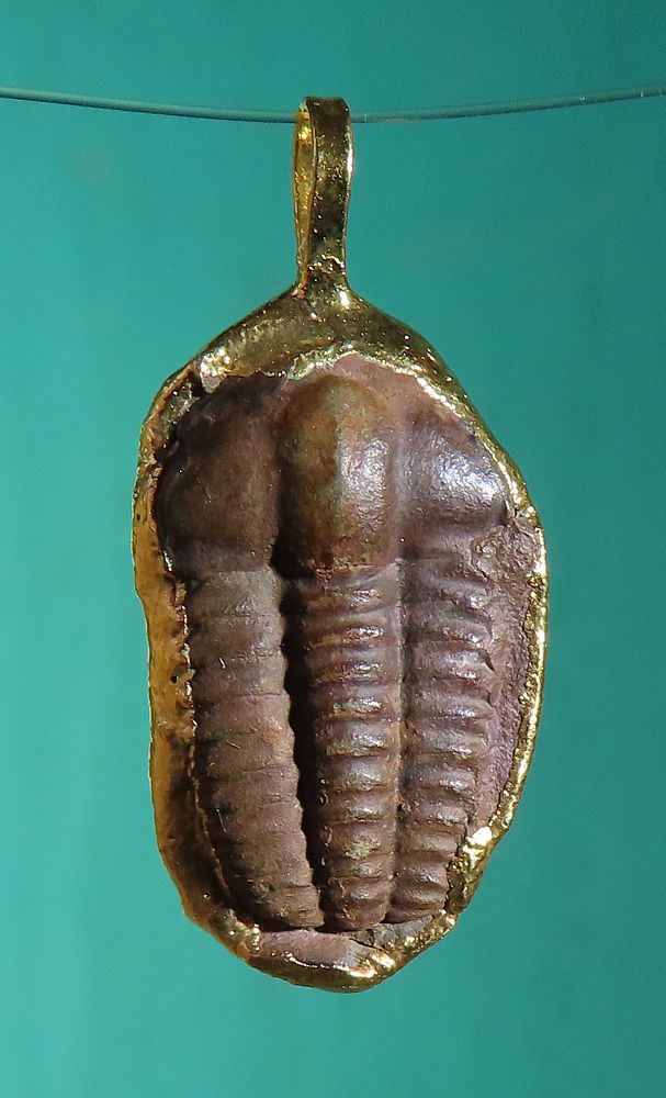 Anhänger Trilobit galvanisch vergoldet