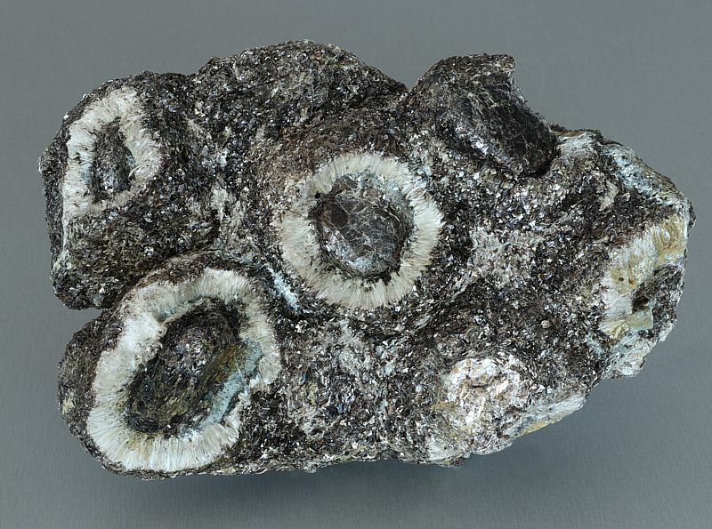 Antophyllite, Phlogopite, Chlorite