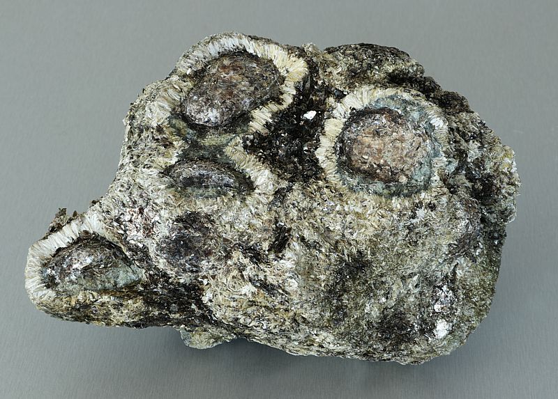 Antophyllite, Phlogopite, Chlorite