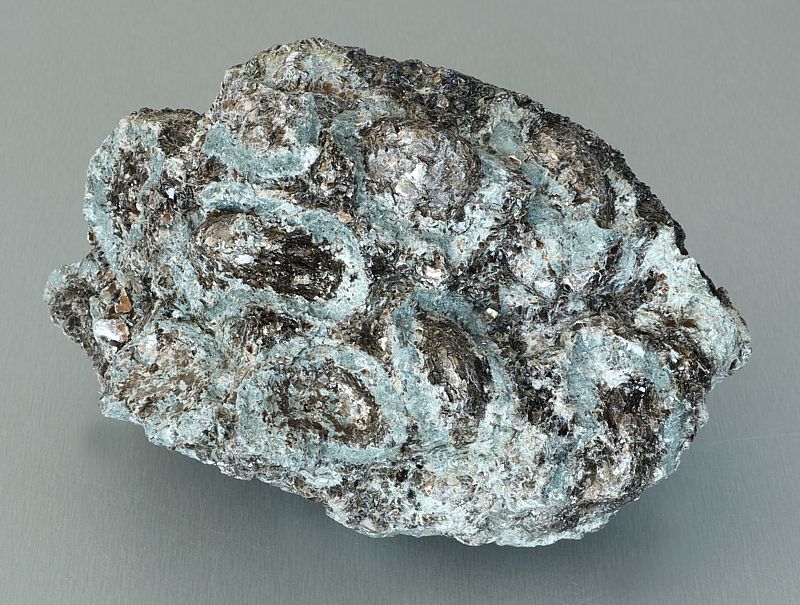 Antophyllite, Phlogopite, Chlorite