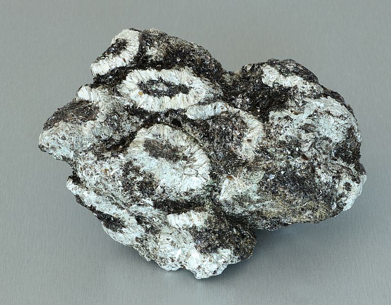 Antophyllite, Phlogopite, Chlorite