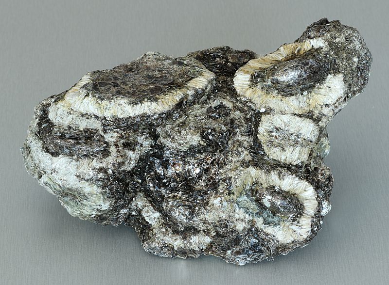 Antophyllite, Phlogopite, Chlorite