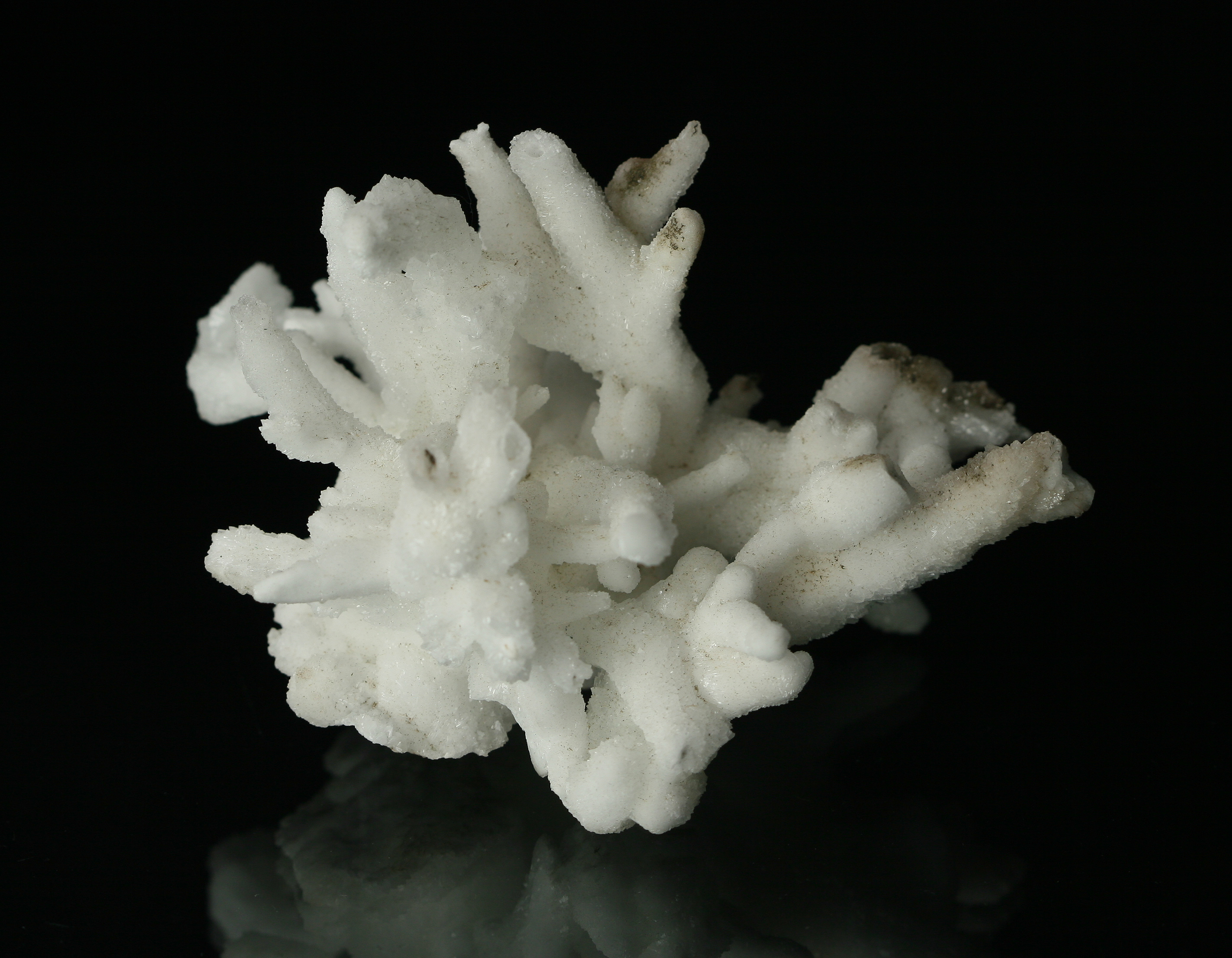 Aragonite (flos ferri)