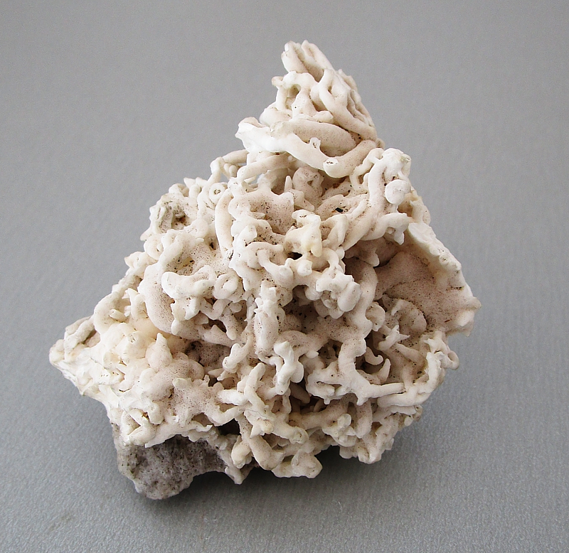 Aragonite (flos ferri)