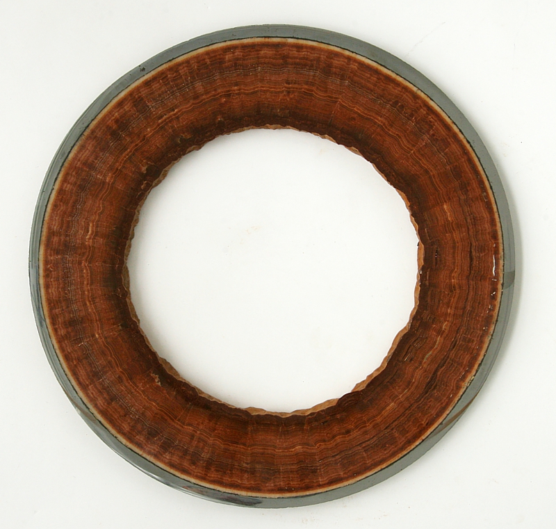 Carlsbad Aragonite tube, polished