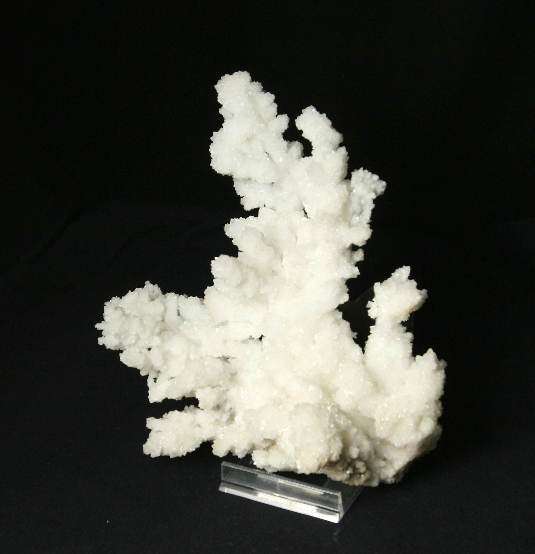 Aragonite