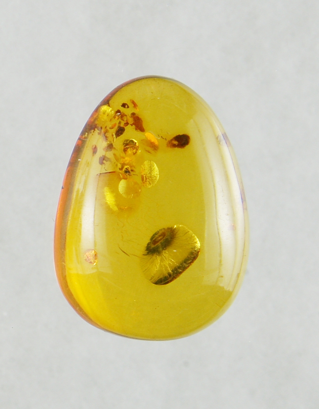 Amber, Cabochon