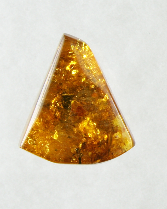 Amber, Cabochon, Free Form