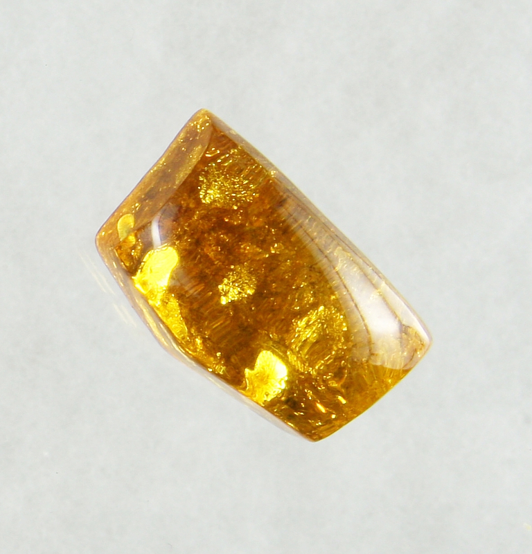 Amber, Cabochon, Free Form