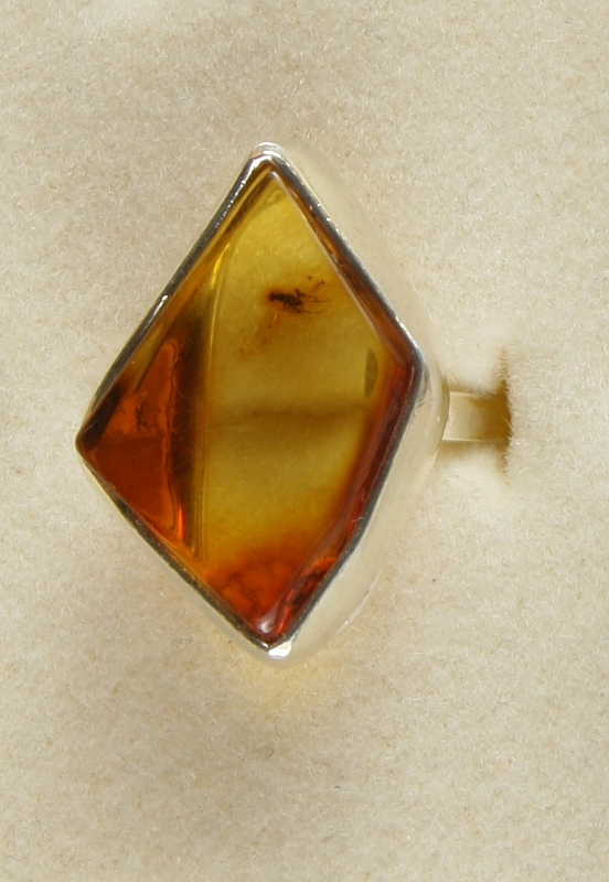 Amber with fossil insect, Ring, Silver 925