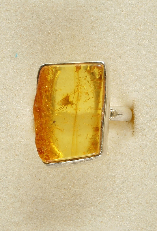 Amber with fossilized Insect, Ring, Silver 925