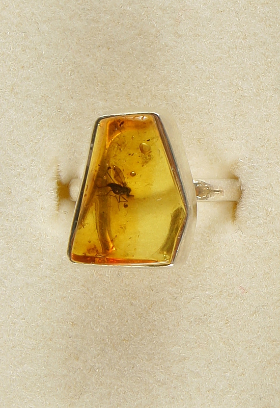 Amber with fossilized Insect, Ring, Silver 925