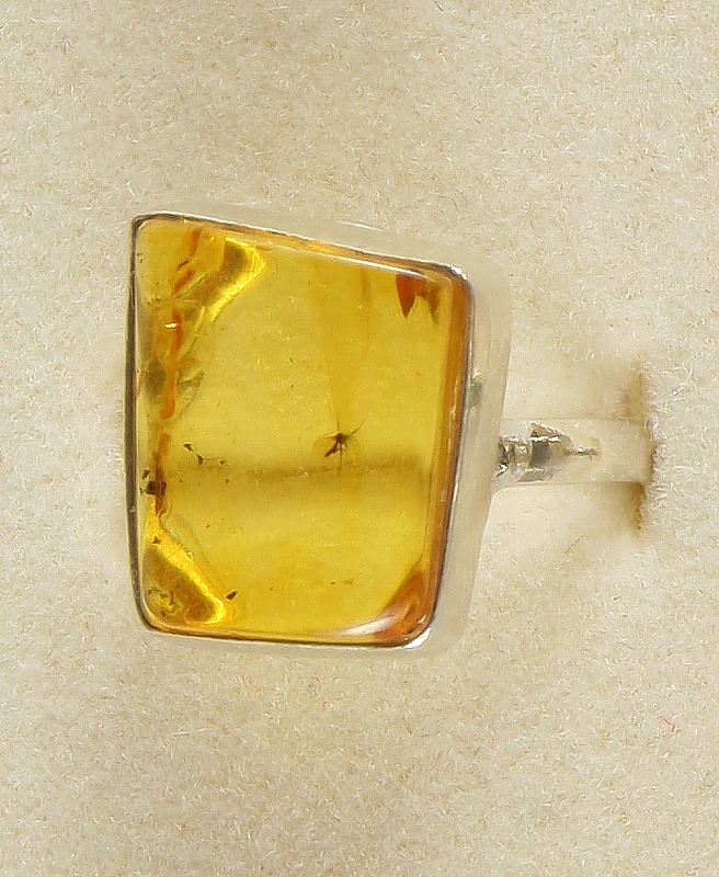 Amber with fossilized Insect, Ring, Silver 925