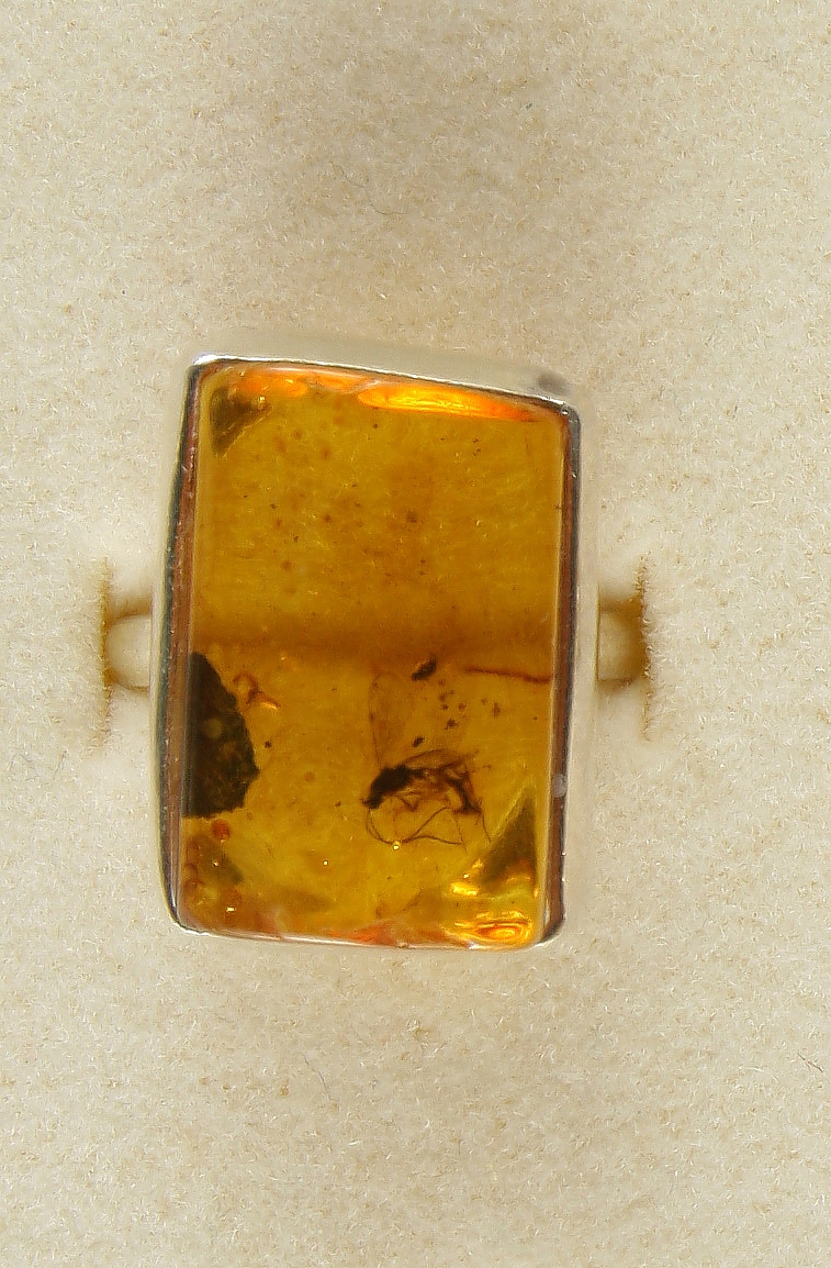 Amber with fossilized Insect, Ring, Silver 925