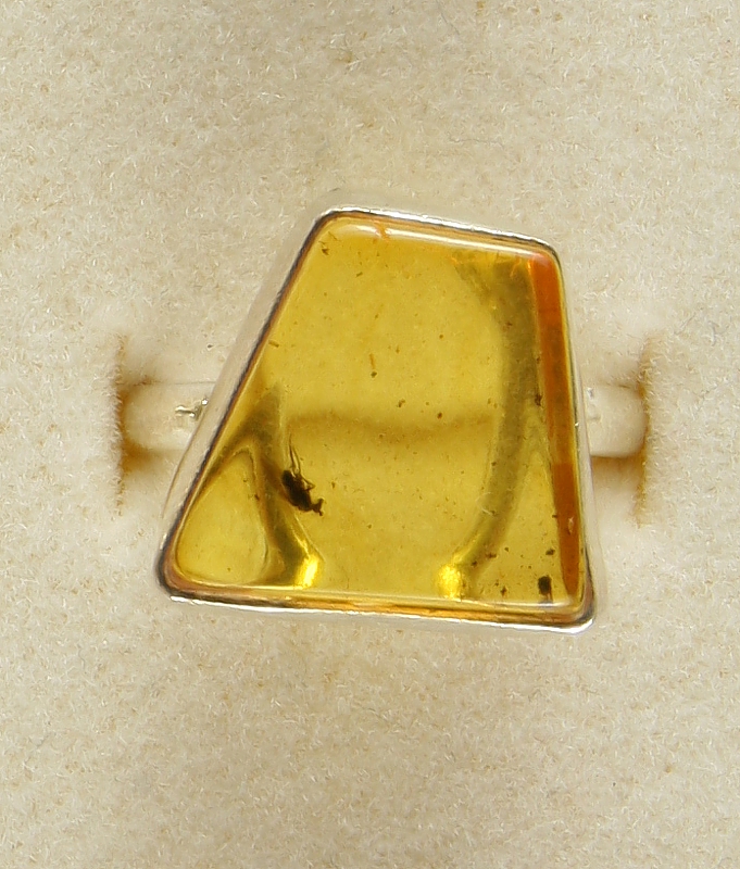 Amber with fossilized Insect, Ring, Silver 925