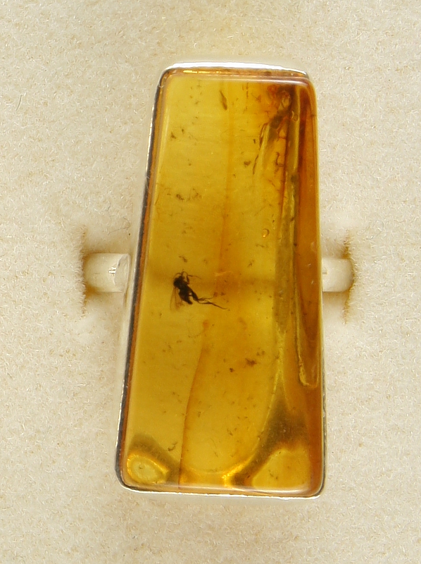 Amber with fossilized Insect, Ring, Silver 925