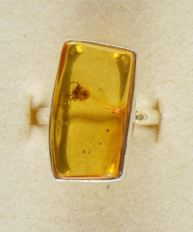 Amber with fossilized Insect, Ring, Silver 925