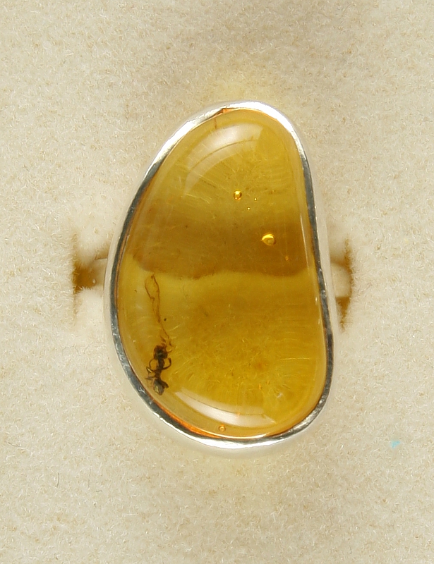 Amber with fossilized Insect, Ring, Silver 925