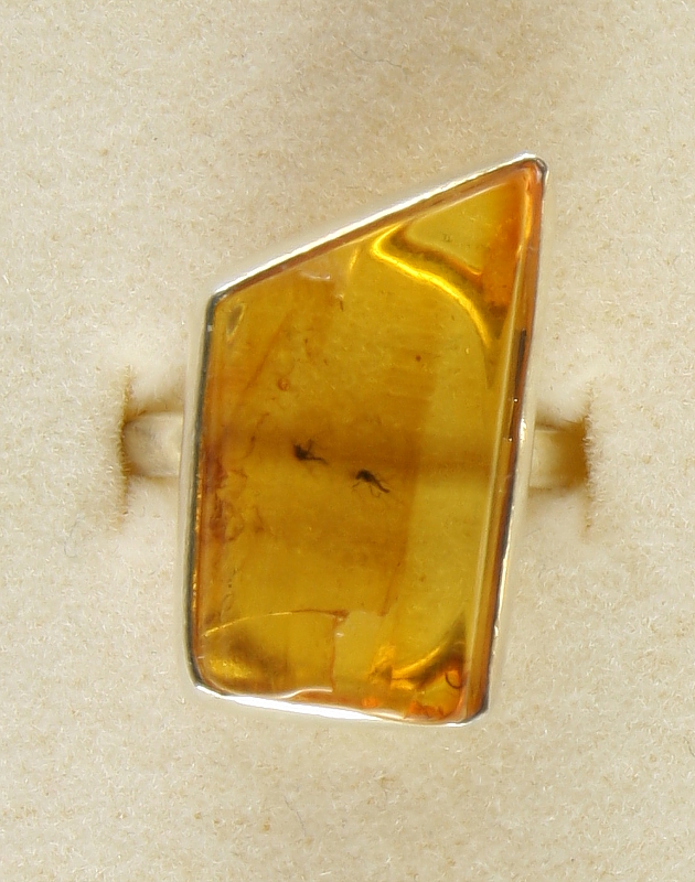 Amber with fossilized Insect, Ring, Silver 925