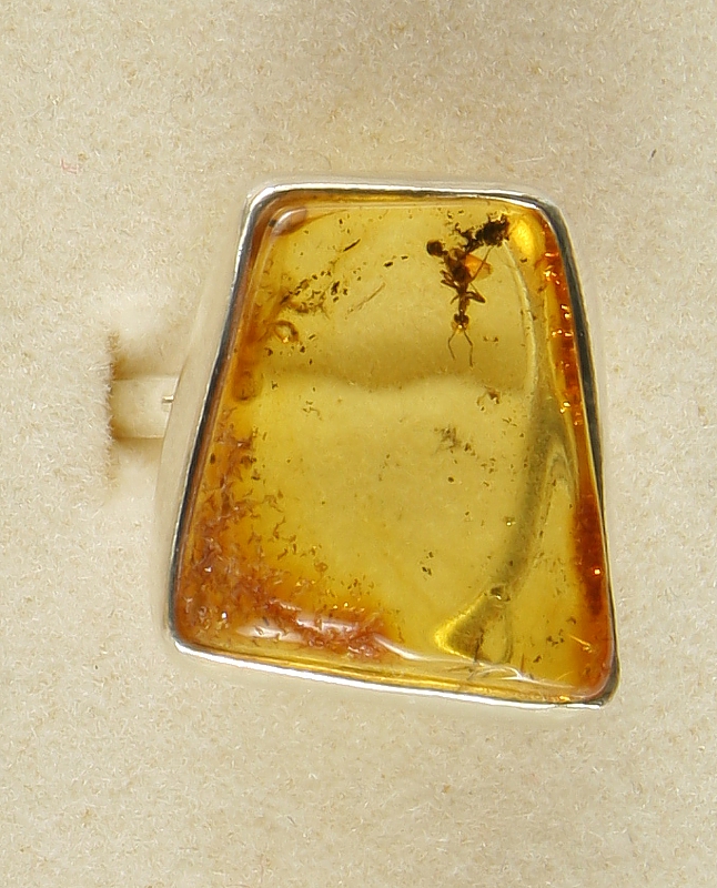 Amber with fossilized Insect, Ring, Silver 925