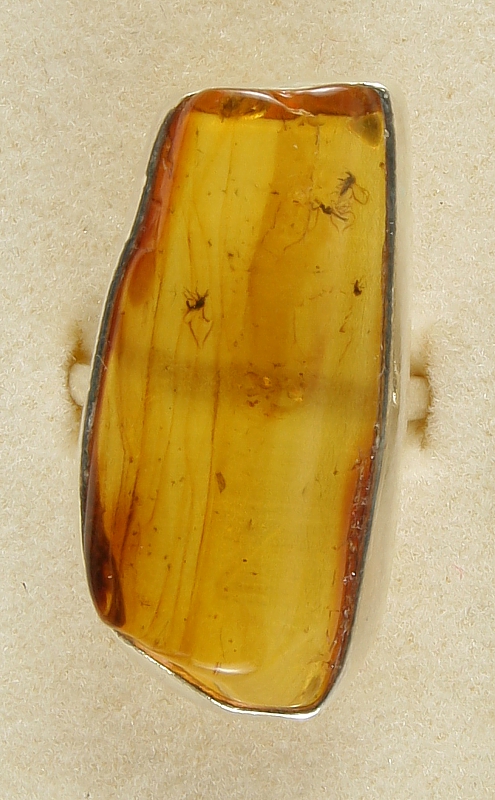 Amber with fossilized Insect, Ring, Silver 925