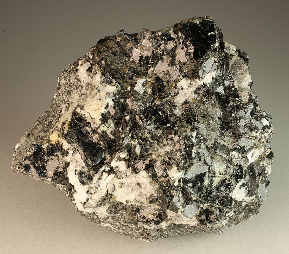 Biotite