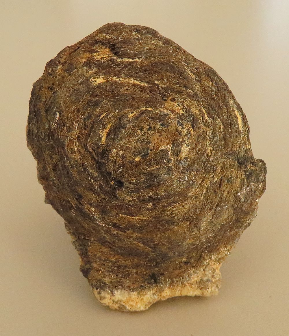 Biotite