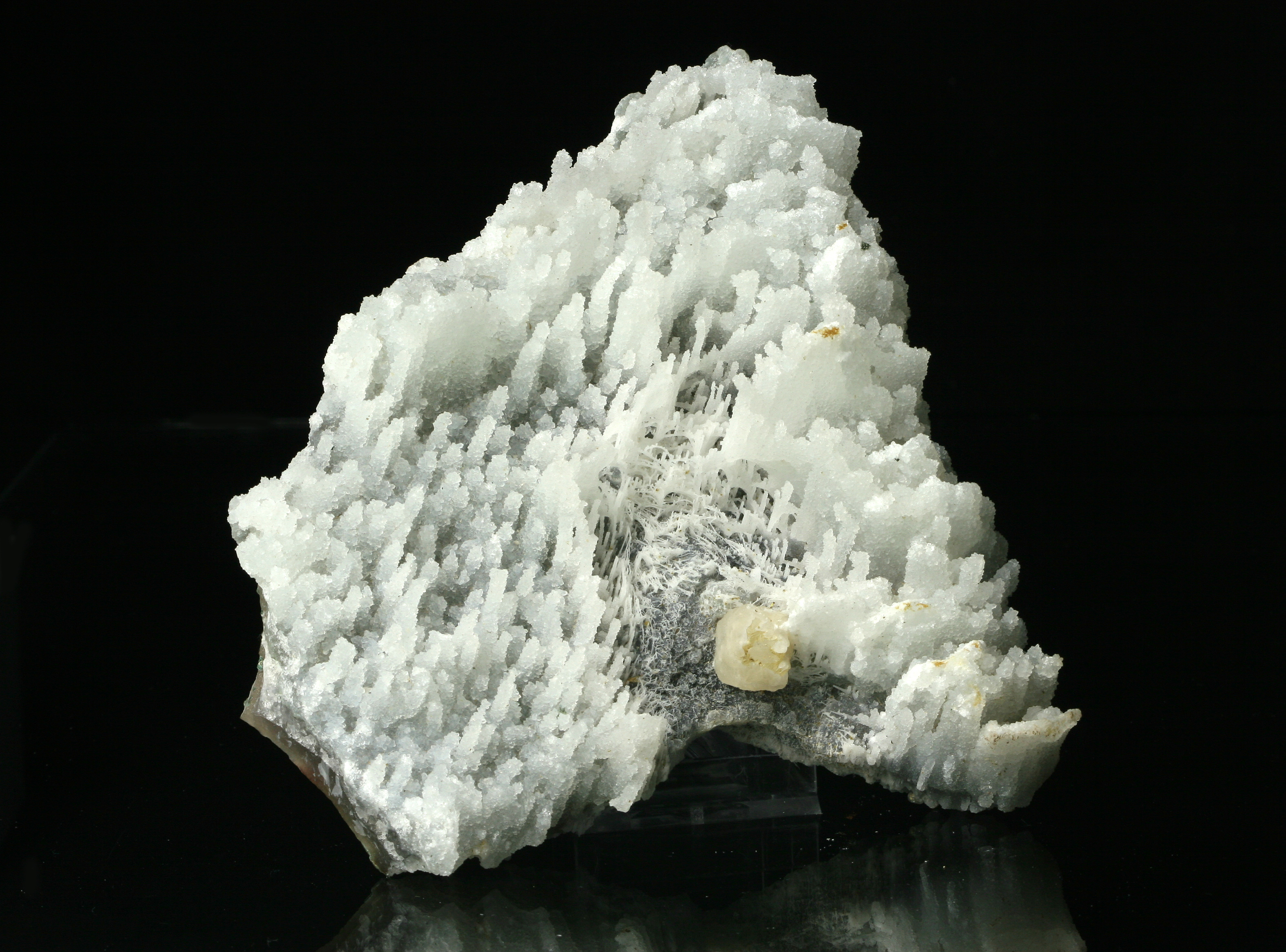 Chalcedon