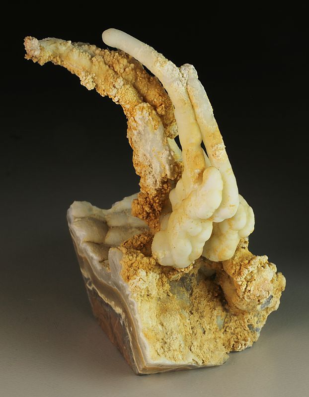 Chalcedon
