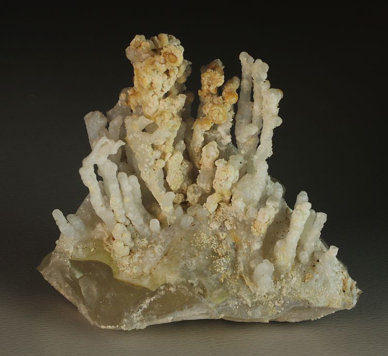 Chalcedon