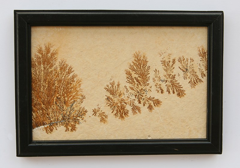 Dendriten-Bild im Holzrahmen L