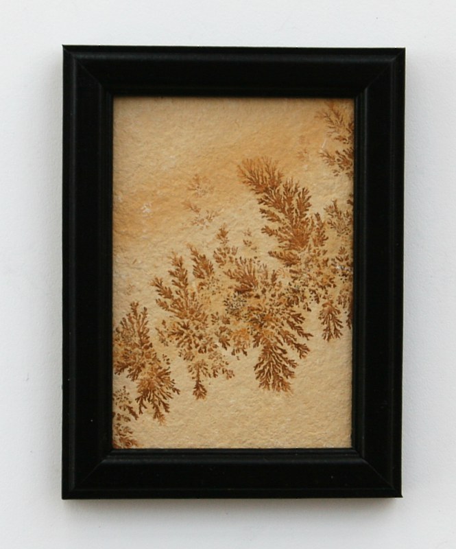 Dendrite picture with wooden frame S