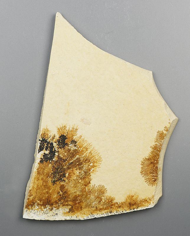 Dendrite slab (Manganese and Iron Dendrites)