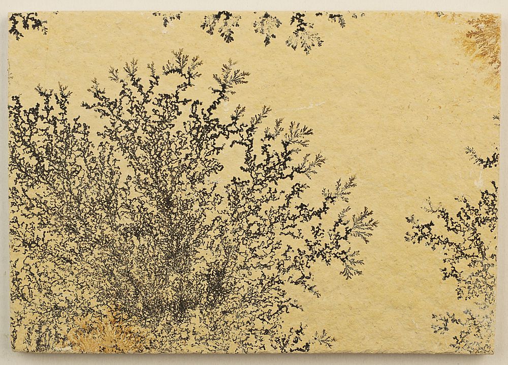 Dendrite slab L