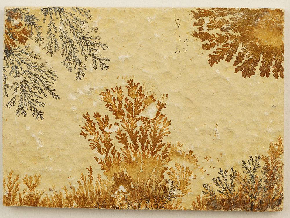 Dendrite slab S