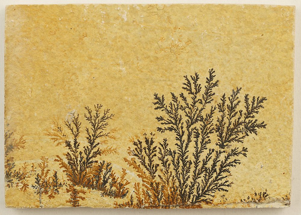Dendrite slab S