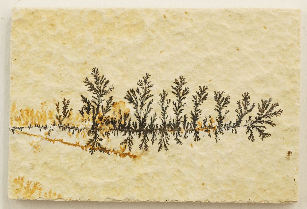 Dendrite slab XS